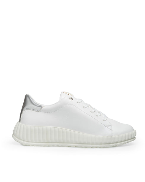 Tenis Blanco Talón Plata 16203
